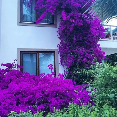Centrally Located Stylish With Pool & Garden In Gocek, Fethiye, Turkey Apartamento Fethiye